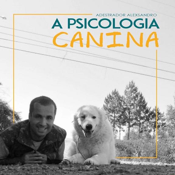 centro canino walker dog - adestramento de caes 01