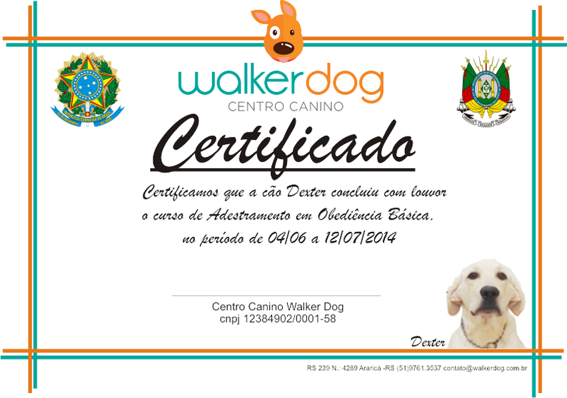 centro canino walkerdog - adestramento de caes 21