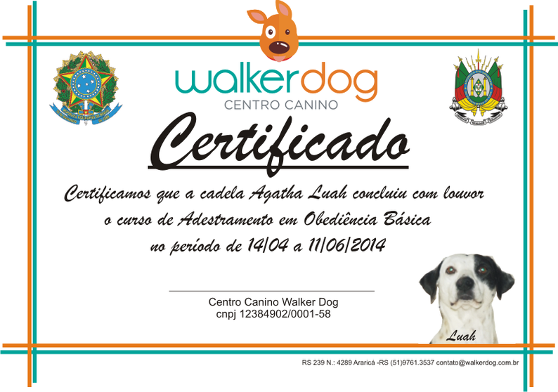 centro canino walkerdog - adestramento de caes 28
