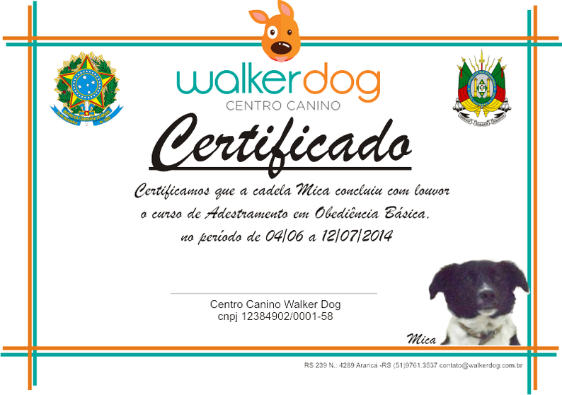 centro canino walkerdog - adestramento de caes 34