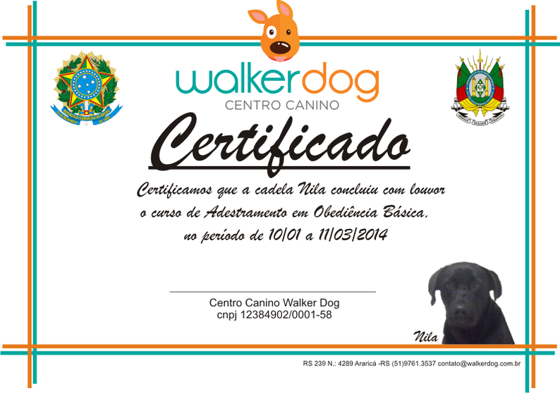 centro canino walkerdog - adestramento de caes 37