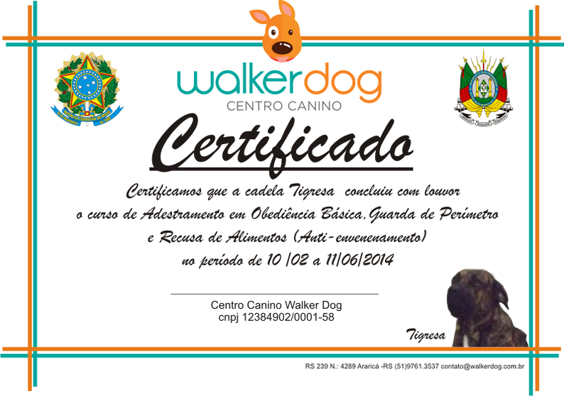 centro canino walkerdog - adestramento de caes 50