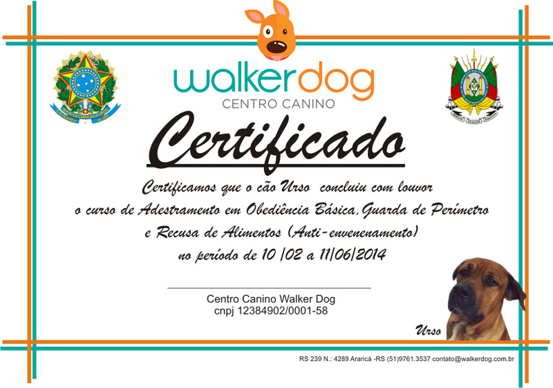 centro canino walkerdog - adestramento de caes 54